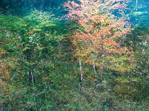 reflections, Blautopf