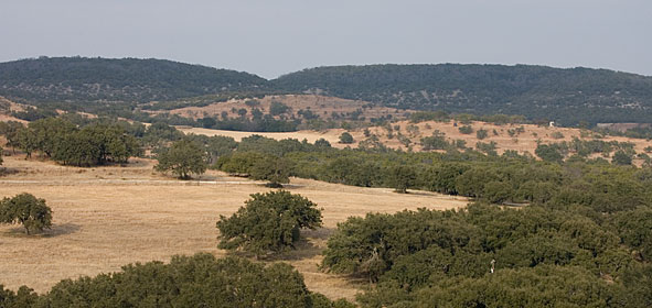Bamberger Ranch