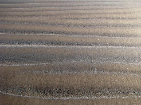 St Andrews West Sands