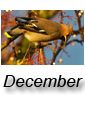 December 2010
