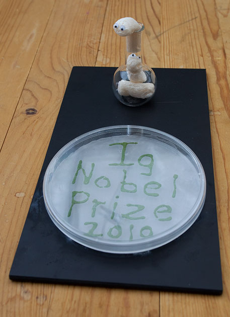 ig nobel prize