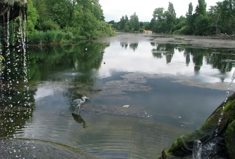 Long Water. Kensington Gardens