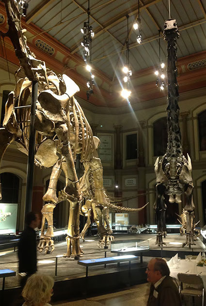 Berlin Naturkundemuseum