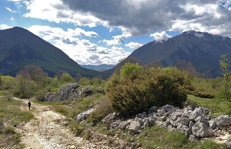 Abruzzo National Park