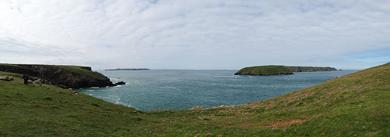 Skokholm and Skomer