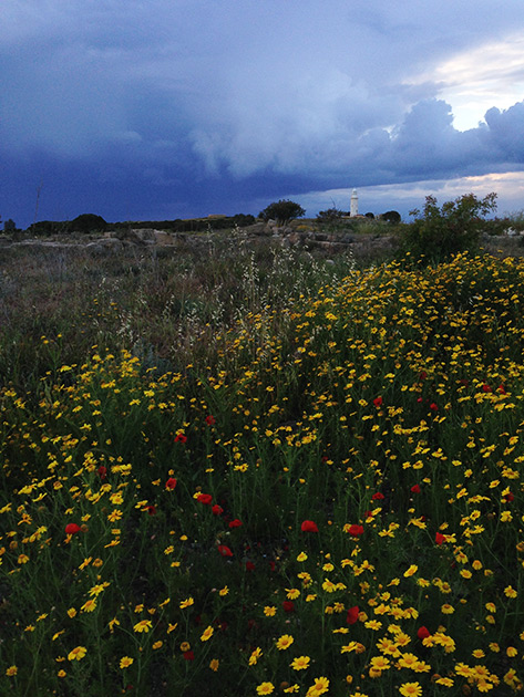 Paphos Archaeological Park