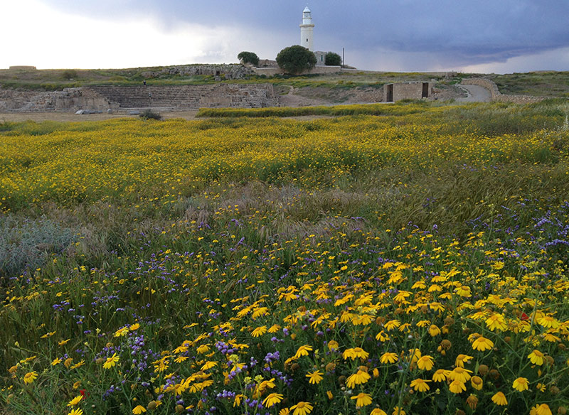 Paphos Archaeological Park
