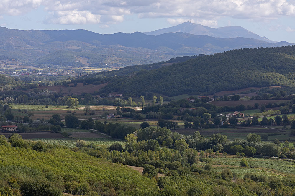 near Padonchia