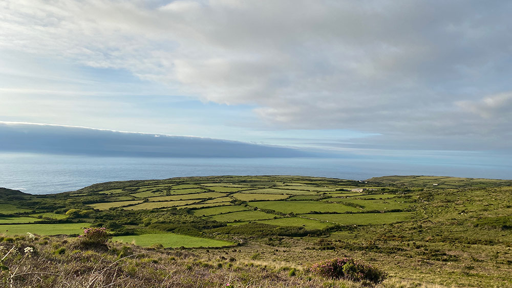 Penwith fields