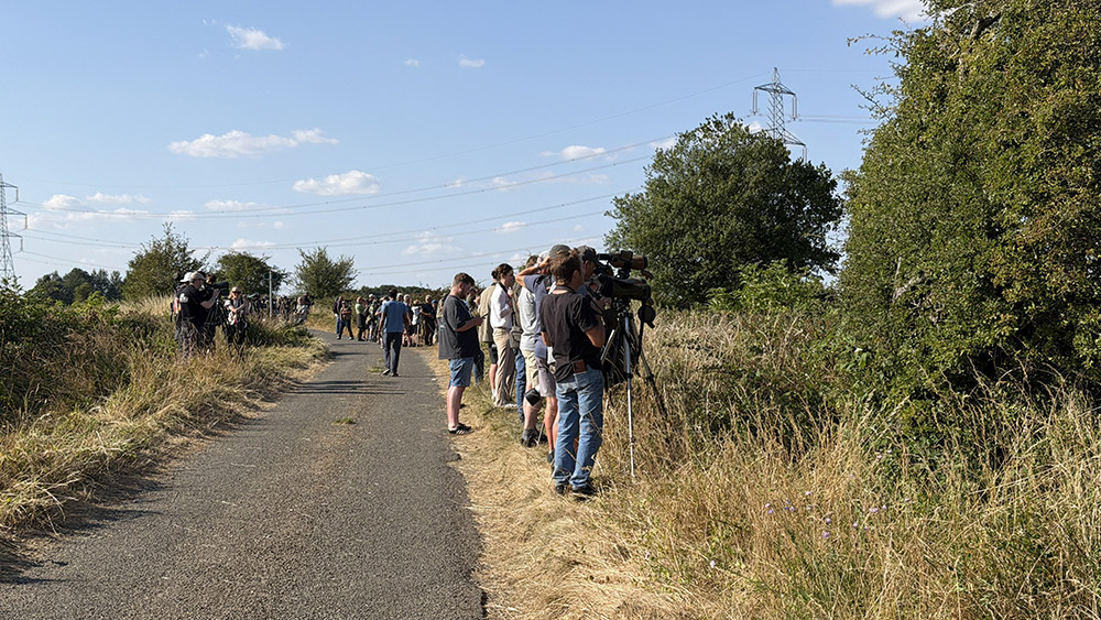 Shrike twitch