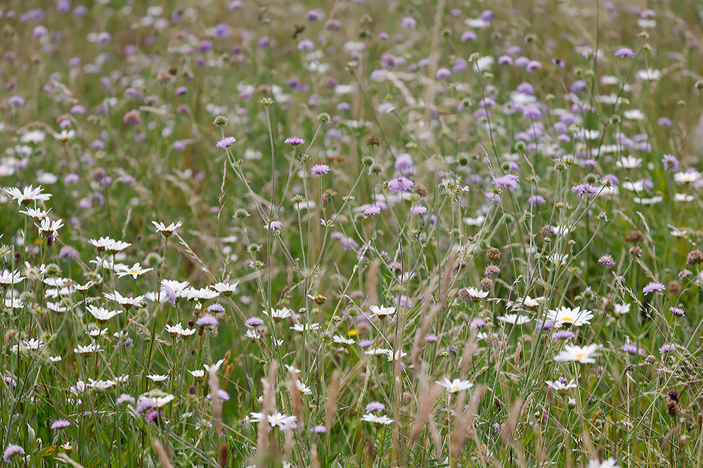 St Uny's Churchyard
