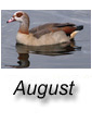 August 2010