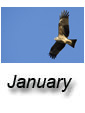 January 2010