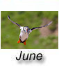June 2024