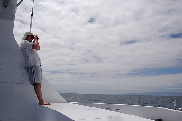 webmarc3.jpg