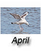 April 2023