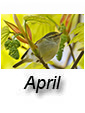 April 2026