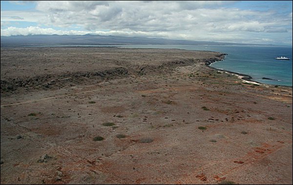webbaltra2.jpg