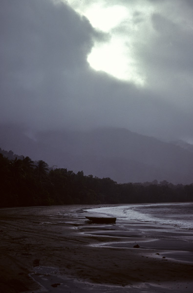 Cape Tribulation