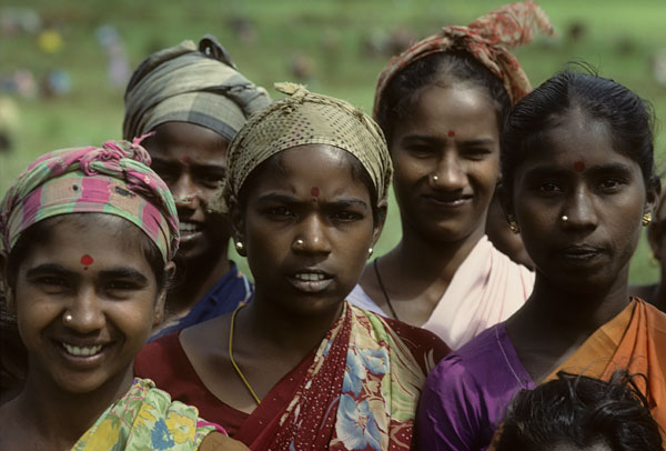 Indian farm workers