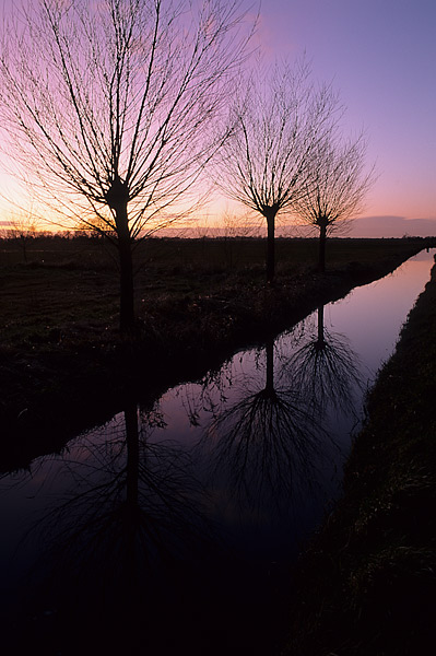 Somerset Levels