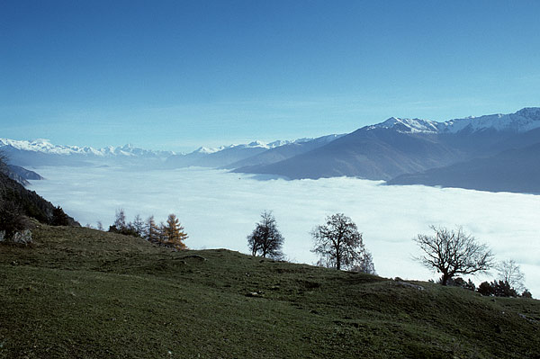 Valis alps