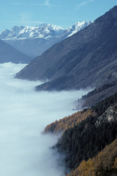 Valais alps