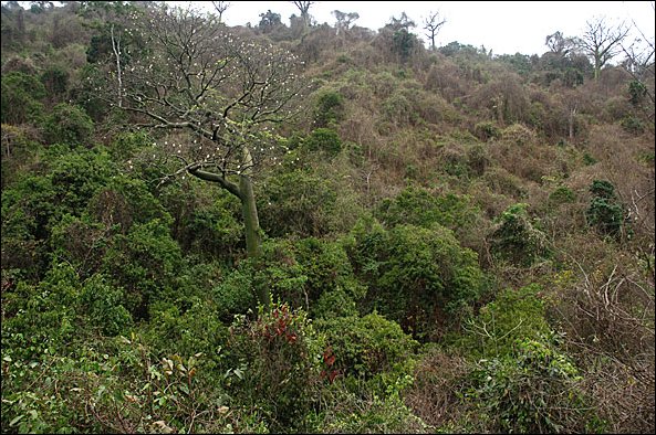 webcerro.jpg