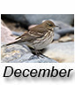 December2024