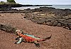 webmarineigf5.jpg