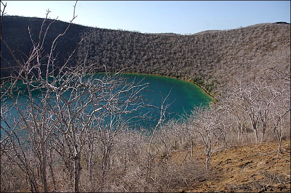 webdarwinlake1.jpg
