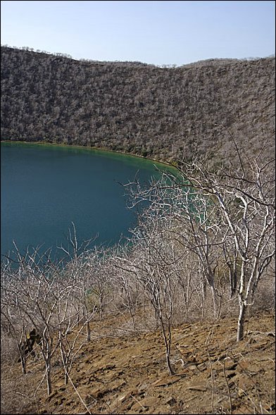 webdarwinlake2.jpg