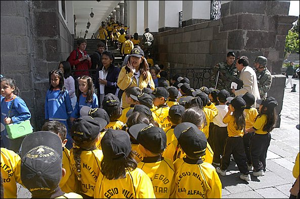 webquito11.jpg