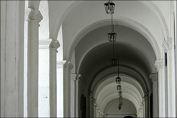 webquito12.jpg