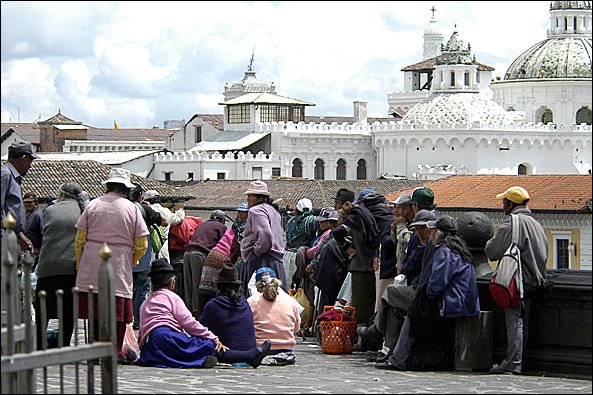 webquito13.jpg