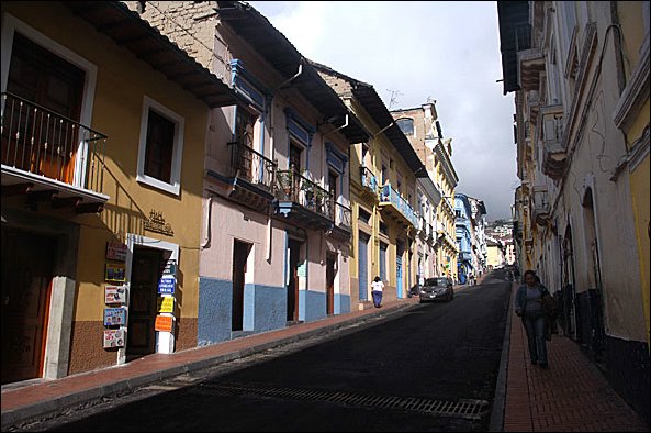 webquito2.jpg