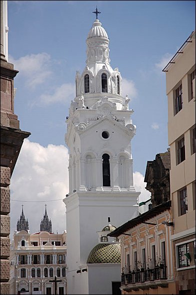 webquito5.jpg
