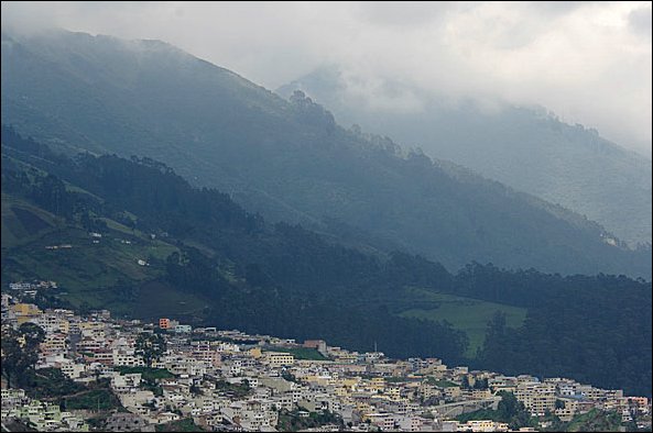 webquito8.jpg