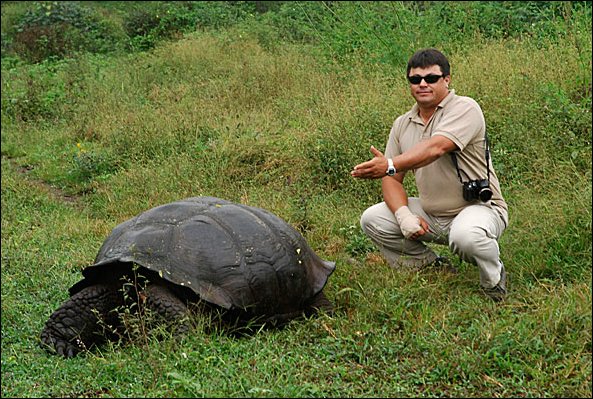 webtort1.jpg