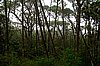 webscalesia.jpg