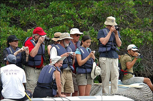 webturtlecove6.jpg
