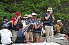 webturtlecove6.jpg