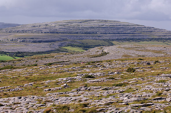 The Burren, Co Clare