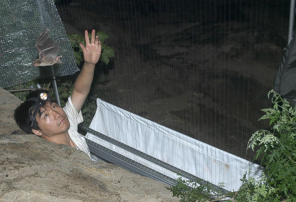 Jinshuo and harp trap